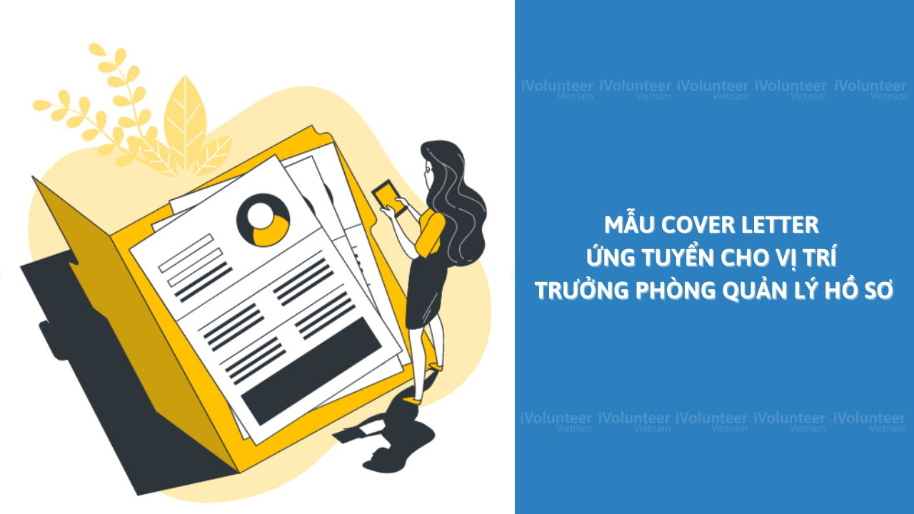 Mẫu Cover Letter Ứng Tuyển Cho Vị Trí Trưởng Phòng Quản Lý Hồ Sơ