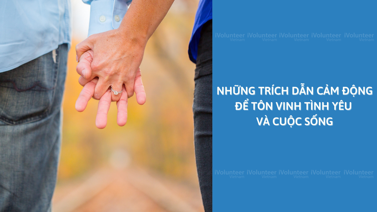 Những Trích Dẫn Cảm Động Để Tôn Vinh Tình Yêu Và Cuộc Sống