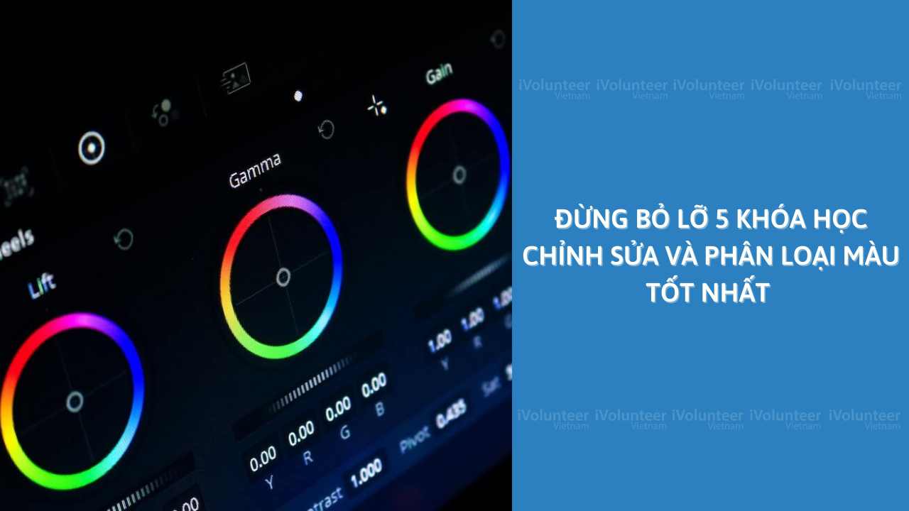 Đừng Bỏ Lỡ 5 Khóa Học Chỉnh Sửa Và Phân Loại Màu Tốt Nhất