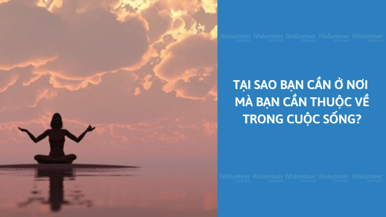 Tại Sao Bạn Cần Ở Nơi Mà Bạn Cần Thuộc Về Trong Cuộc Sống?