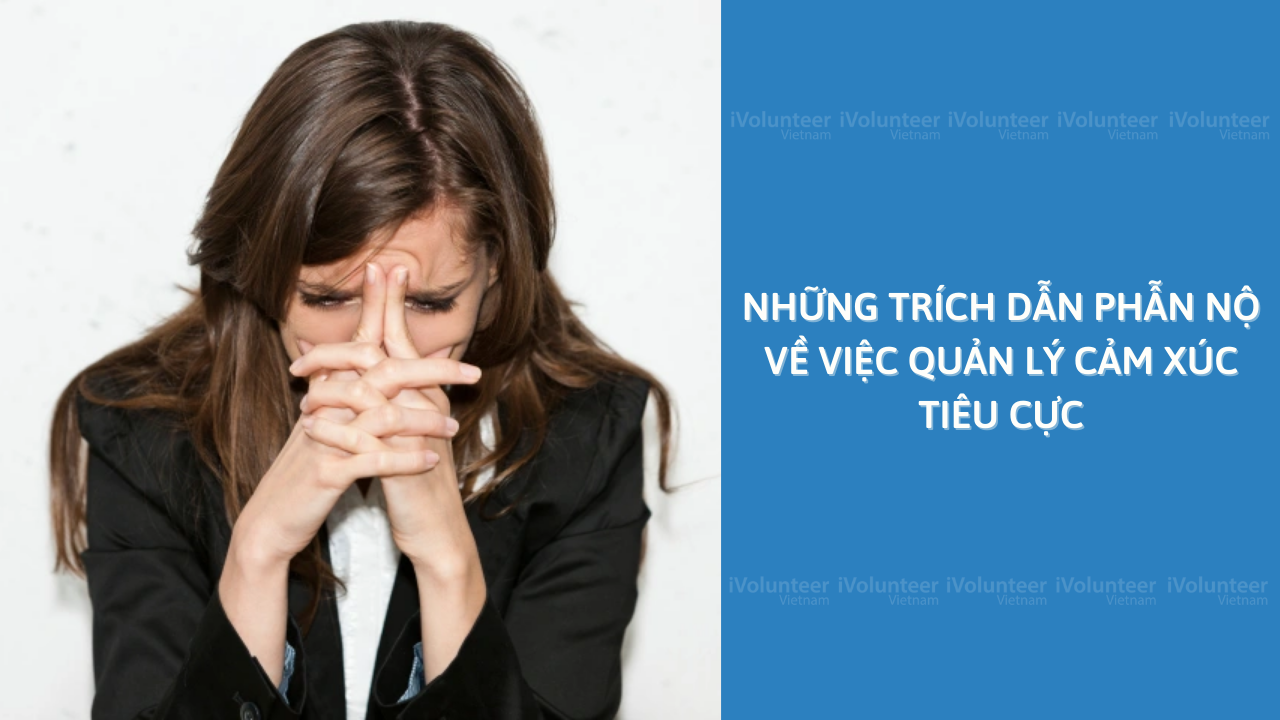 Những Trích Dẫn Phẫn Nộ Về Việc Quản Lý Cảm Xúc Tiêu Cực