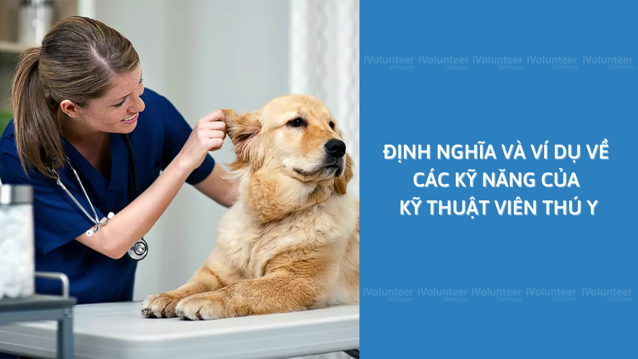 Định Nghĩa Và Ví Dụ Về Các Kỹ Năng Của Kỹ Thuật Viên Thú Y