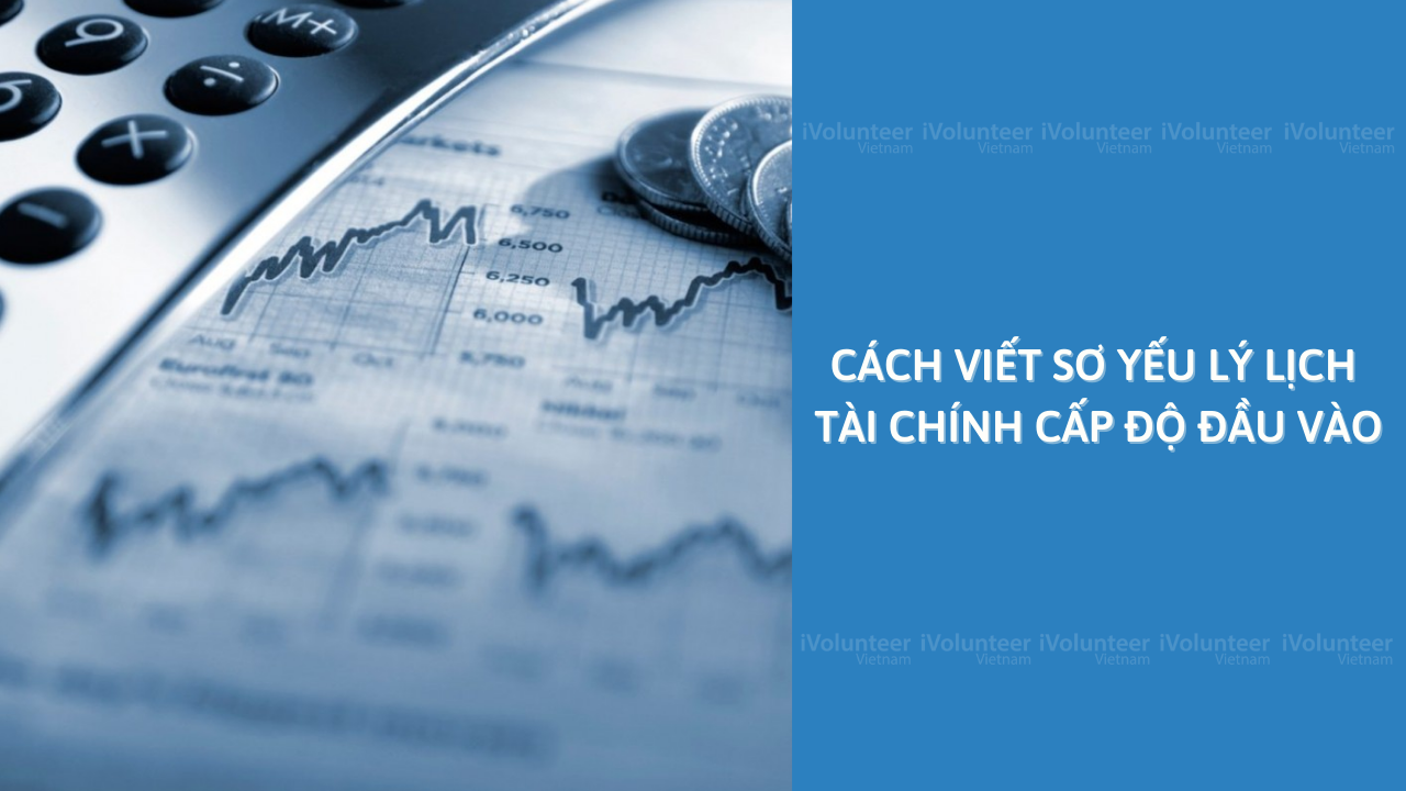 Cách Viết Sơ Yếu Lý Lịch Tài Chính Cấp Độ Đầu Vào