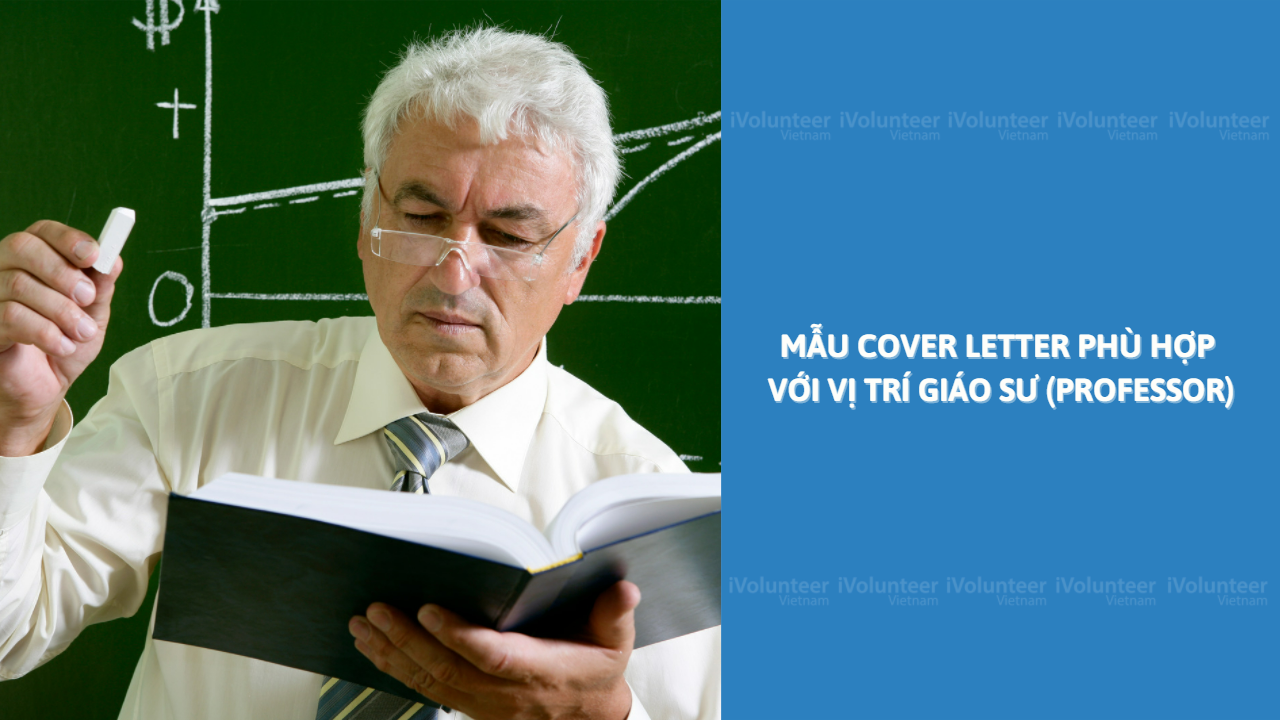 Mẫu Cover Letter Phù Hợp Với Vị Trí Giáo Sư (Professor)