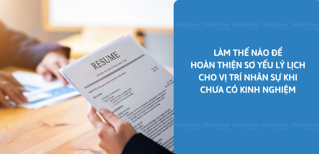 Làm Thế Nào Để Hoàn Thiện Sơ Yếu Lý Lịch Cho Vị Trí Nhân Sự Khi Chưa Có Kinh Nghiệm