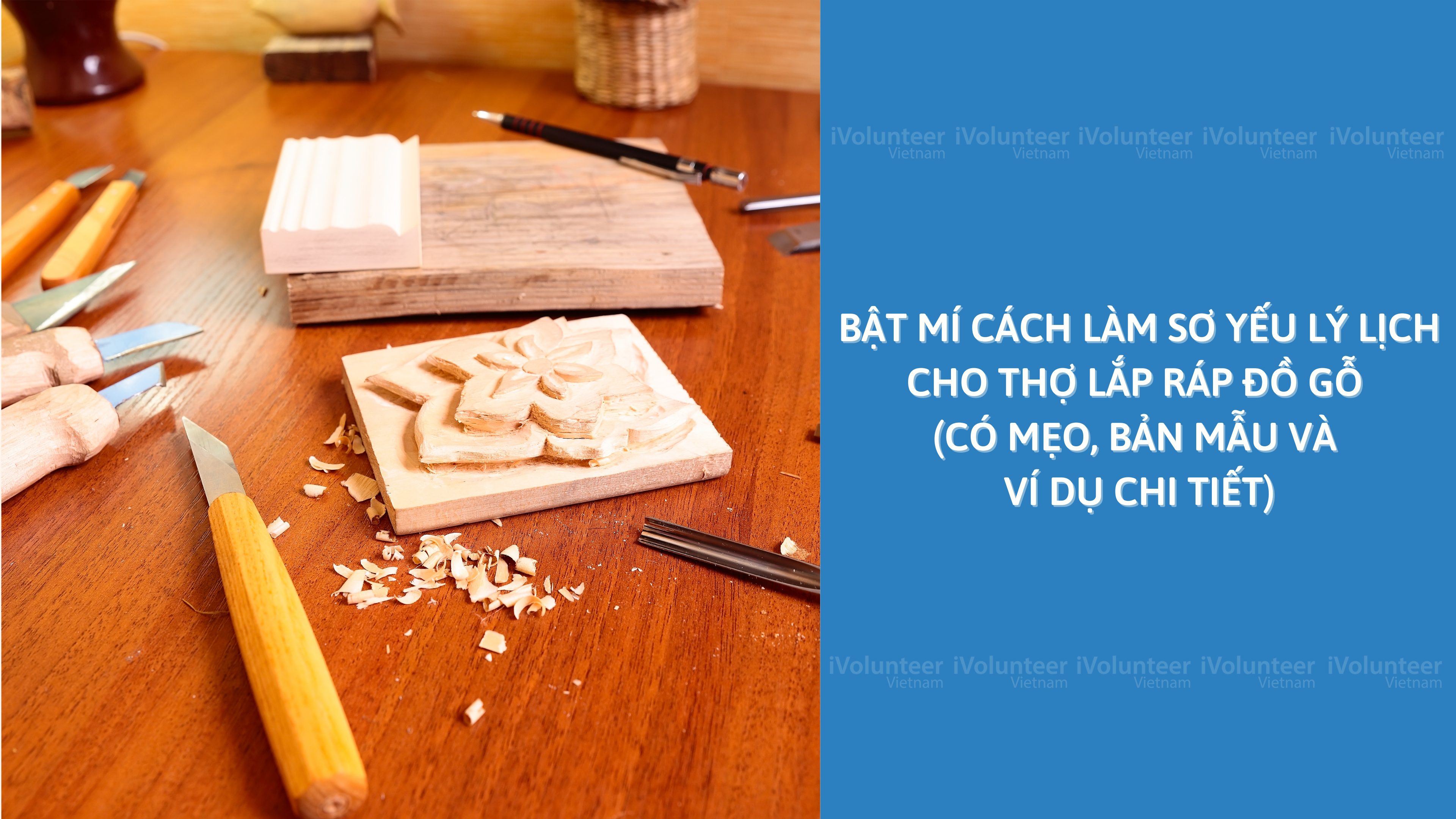 Bật Mí Cách Làm Sơ Yếu Lý Lịch Cho Thợ Lắp Ráp Đồ Gỗ (Có Mẹo, Bản Mẫu Và Ví Dụ Chi Tiết)