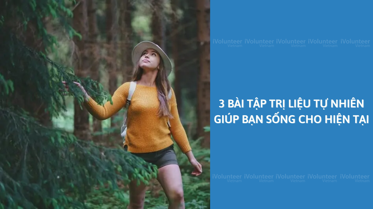 3 Bài Tập Trị Liệu Tự Nhiên Giúp Bạn Sống Cho Hiện Tại