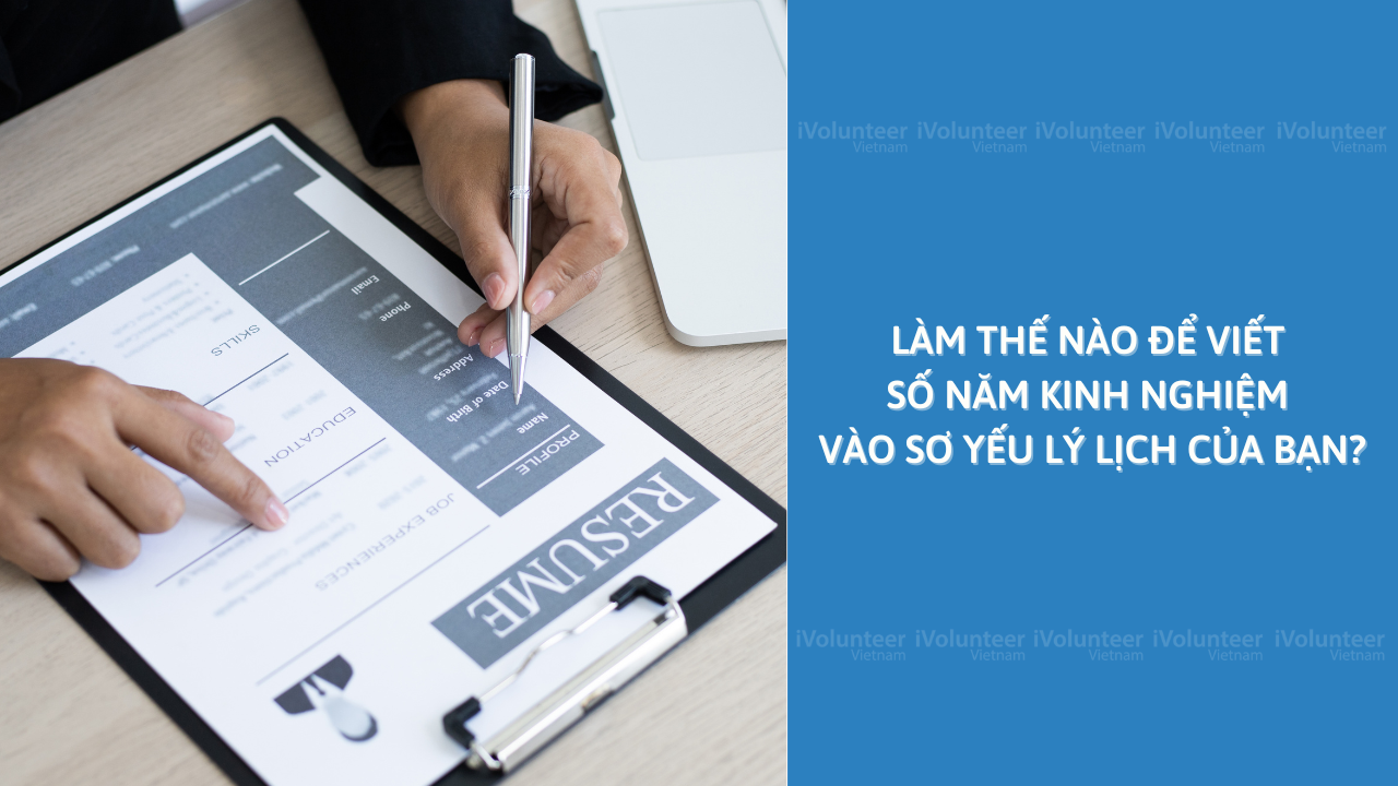 Làm Thế Nào Để Viết Số Năm Kinh Nghiệm Vào Sơ Yếu Lý Lịch Của Bạn?