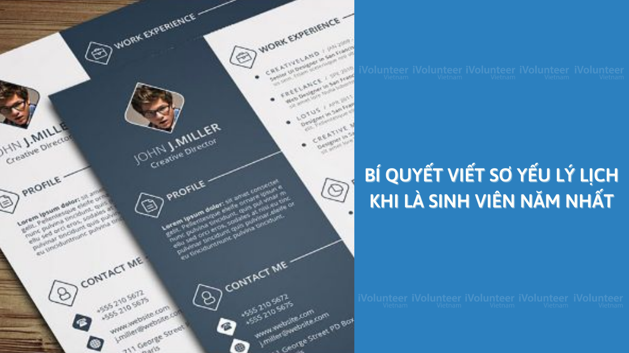 Bí Quyết Viết Sơ Yếu Lý Lịch Khi Là Sinh Viên Năm Nhất