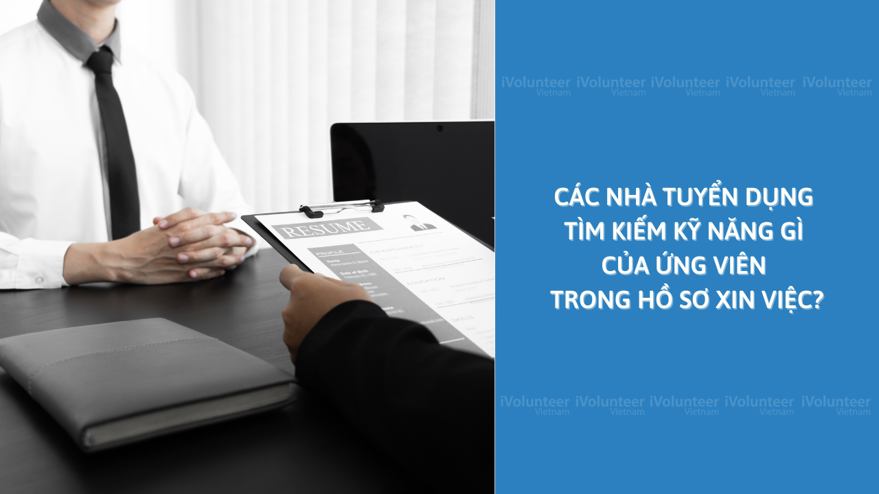 Các Nhà Tuyển Dụng Tìm Kiếm Kỹ Năng Gì Của Ứng Viên Trong Hồ Sơ Xin Việc?