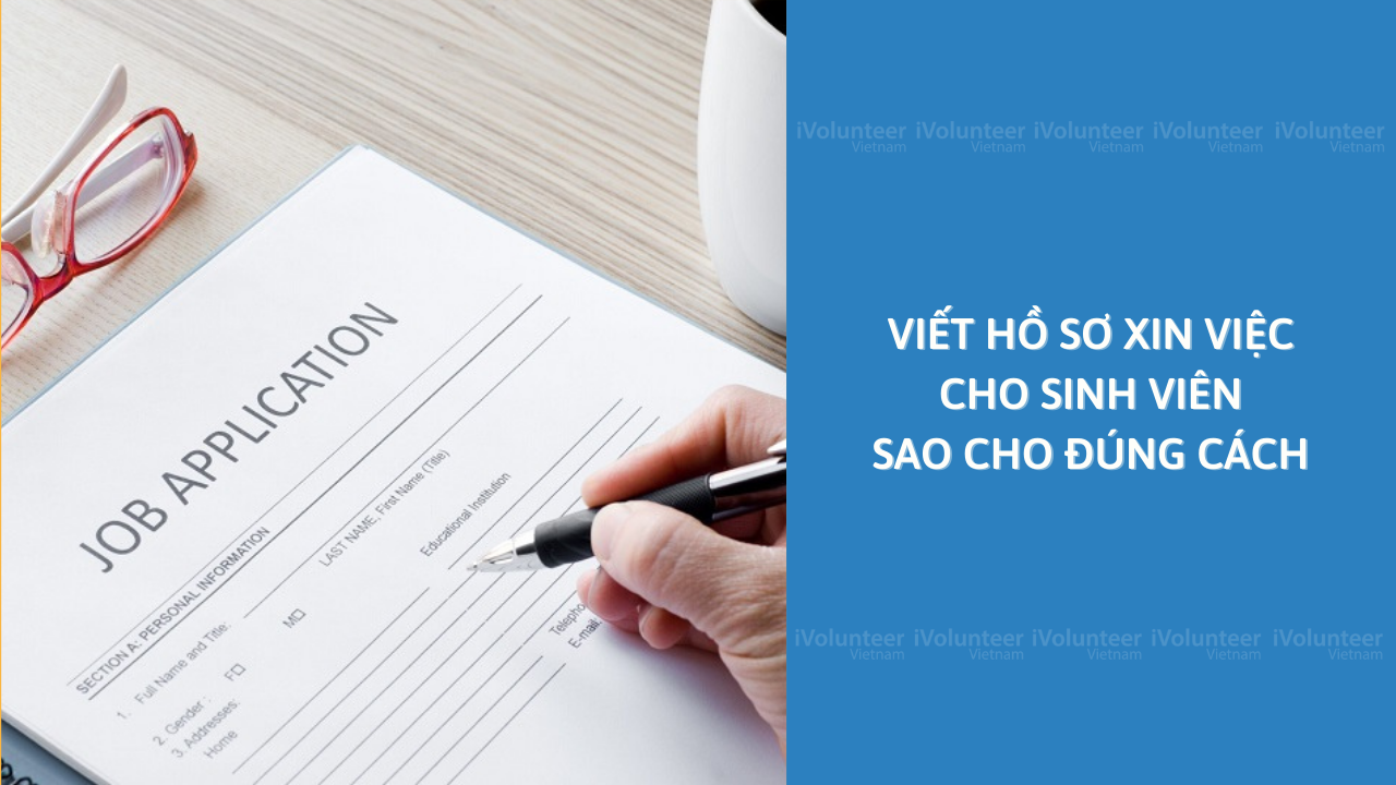 Viết Hồ Sơ Xin Việc Cho Sinh Viên Sao Cho Đúng Cách