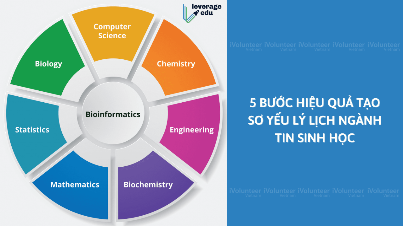 5 Bước Hiệu Quả Tạo Sơ Yếu Lý Lịch Ngành Tin Sinh Học