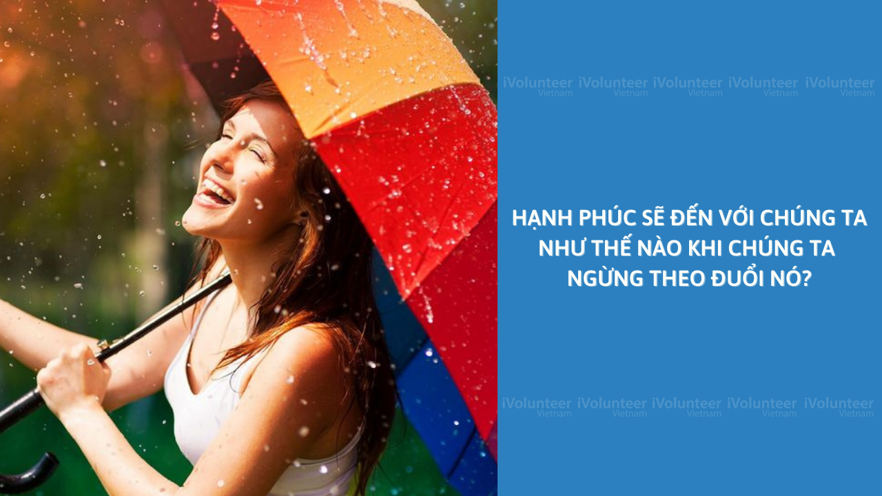 Hạnh Phúc Sẽ Đến Với Chúng Ta Như Thế Nào Khi Chúng Ta Ngừng Theo Đuổi Nó?