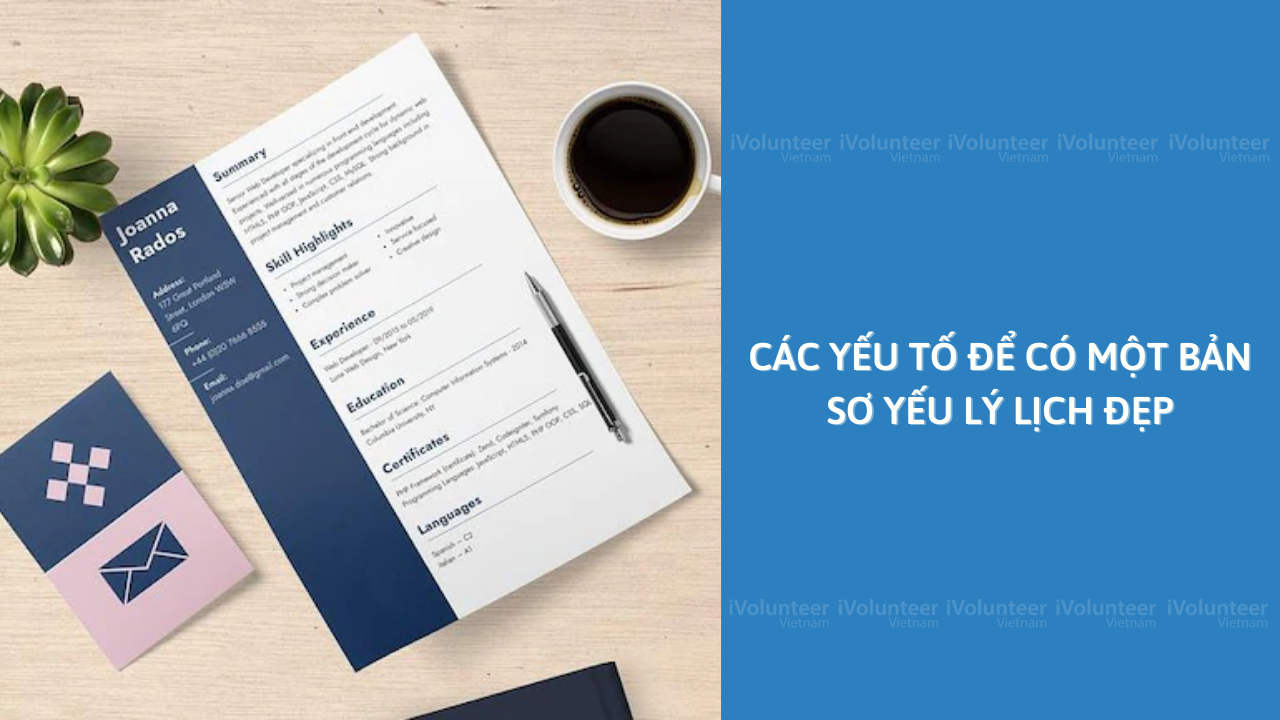 Các Yếu Tố Để Có Một Bản Sơ Yếu Lý Lịch Đẹp