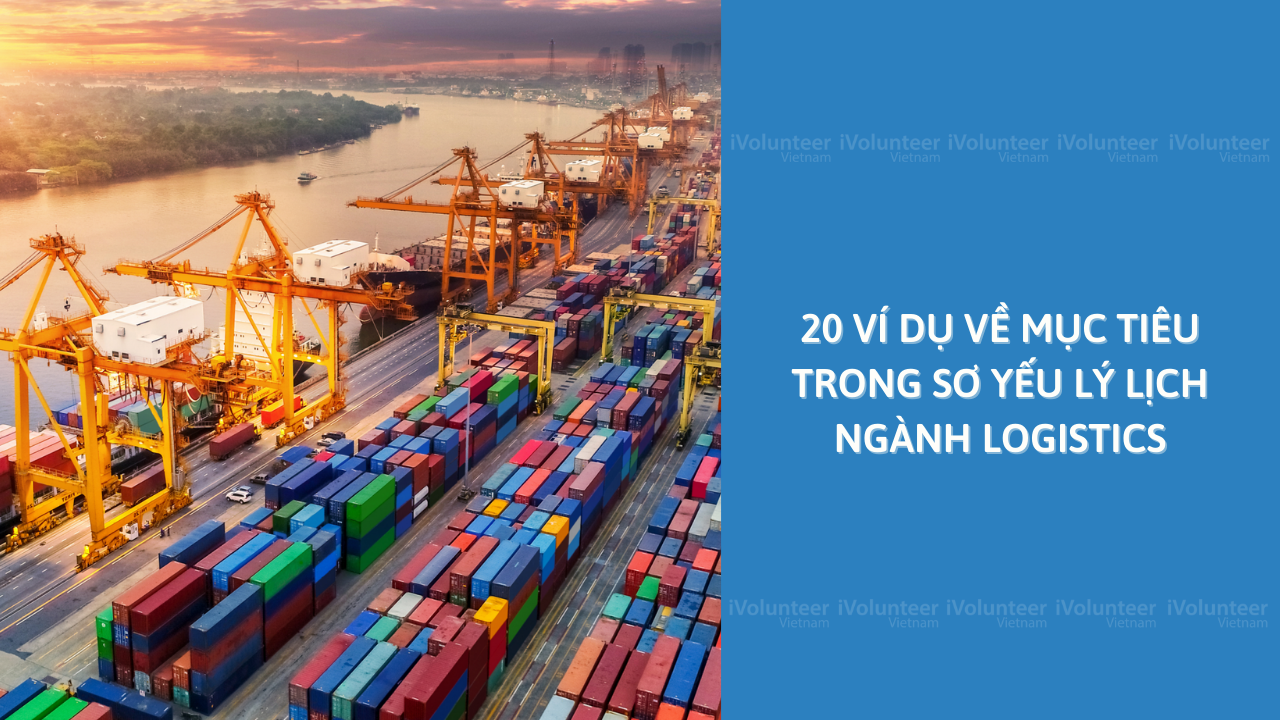 20 Ví Dụ Về Mục Tiêu Trong Sơ Yếu Lý Lịch Ngành Logistics