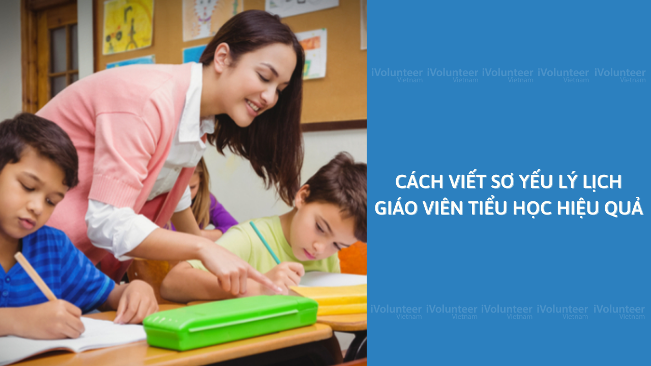 Cách Viết Sơ Yếu Lý Lịch Giáo Viên Tiểu Học Hiệu Quả