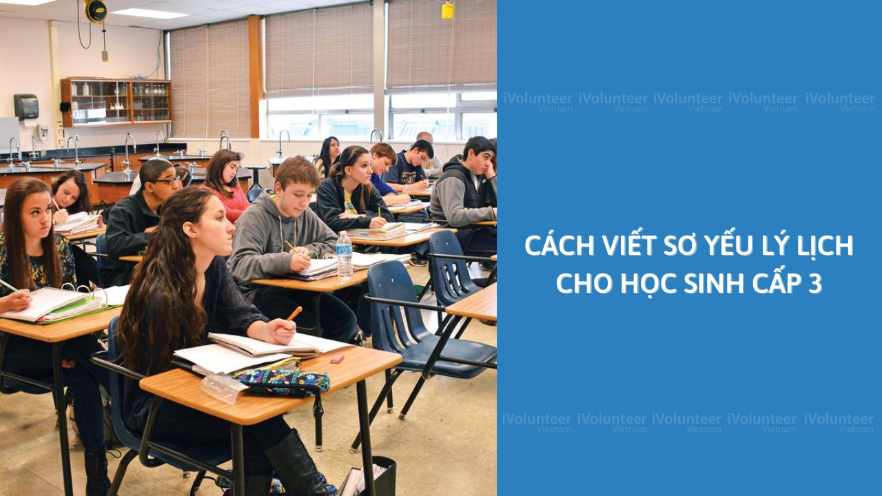 Cách Viết Sơ Yếu Lý Lịch Cho Học Sinh Cấp 3