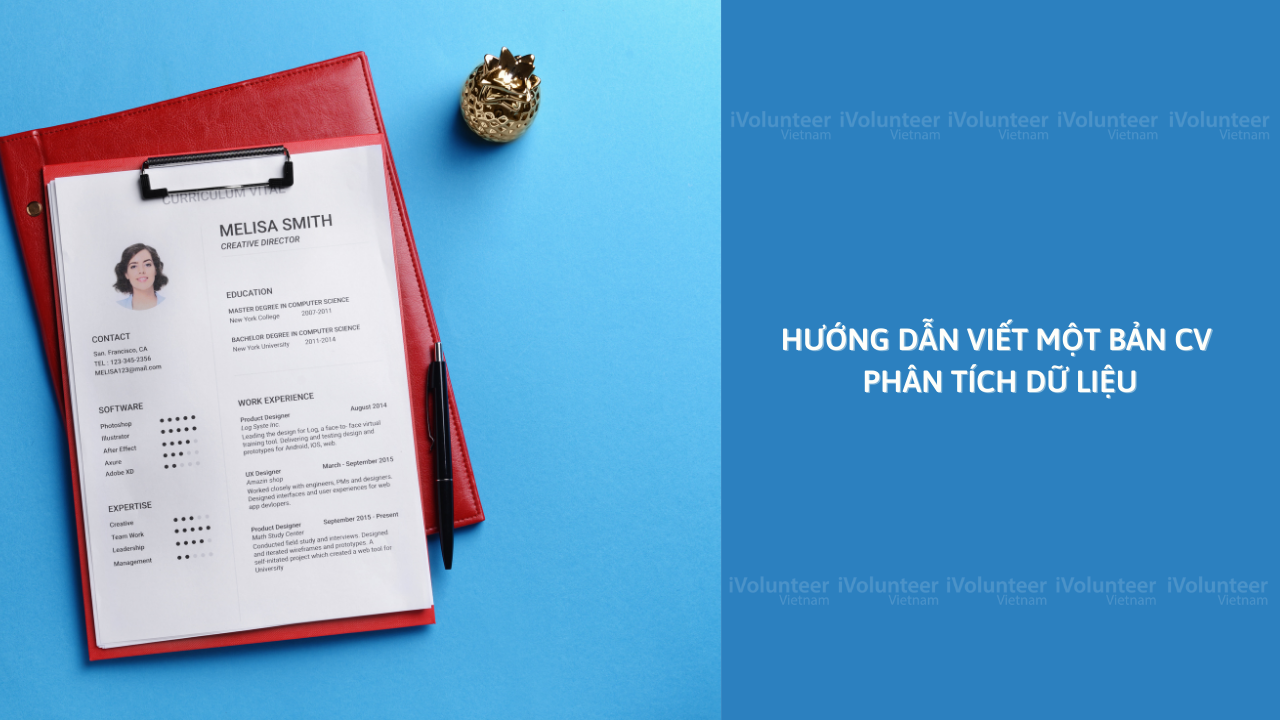 Hướng Dẫn Viết Một Bản CV Phân Tích Dữ Liệu