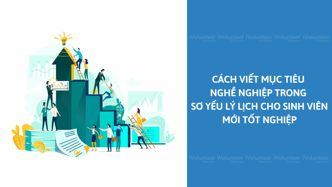 Cách Viết Mục Tiêu Nghề Nghiệp Trong Sơ Yếu Lý Lịch Cho Sinh Viên Mới Tốt Nghiệp