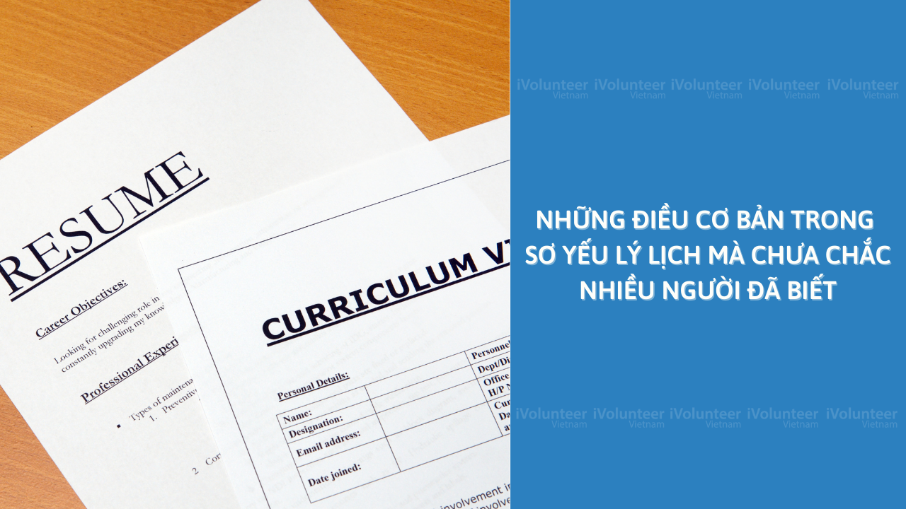 Những Điều Cơ Bản Trong Sơ Yếu Lý Lịch Mà Chưa Chắc Nhiều Người Đã Biết