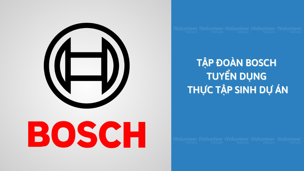 [Đồng Nai] Tập Đoàn Bosch Tuyển Dụng Thực Tập Sinh Trợ Lý Dự Án