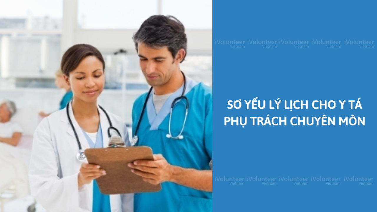 Sơ Yếu Lý Lịch Cho Y Tá Phụ Trách Chuyên Môn