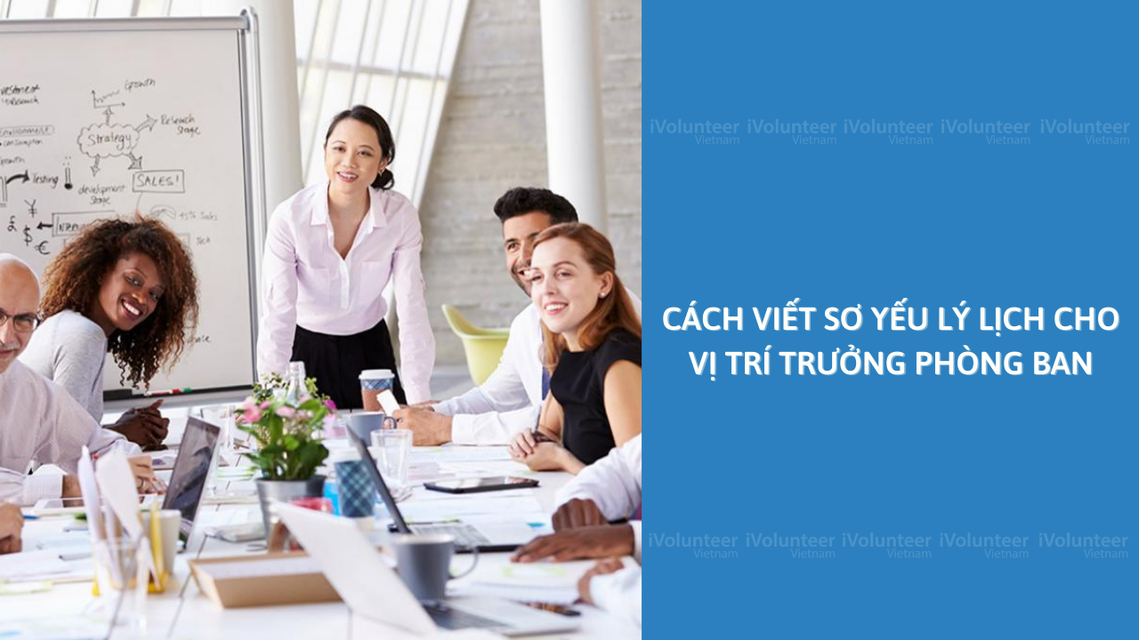 Cách Viết Sơ Yếu Lý Lịch Cho Vị Trí Trưởng Phòng Ban