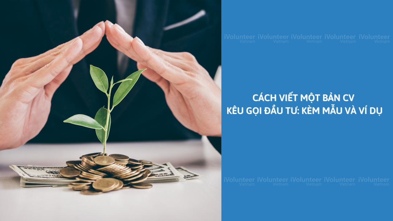 Cách Viết Một Bản CV Kêu Gọi Đầu Tư: Kèm Mẫu Và Ví Dụ