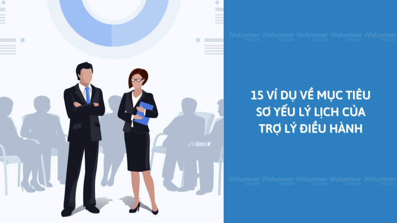 15 Ví Dụ Về Mục Tiêu Sơ Yếu Lý Lịch Của Trợ Lý Điều Hành