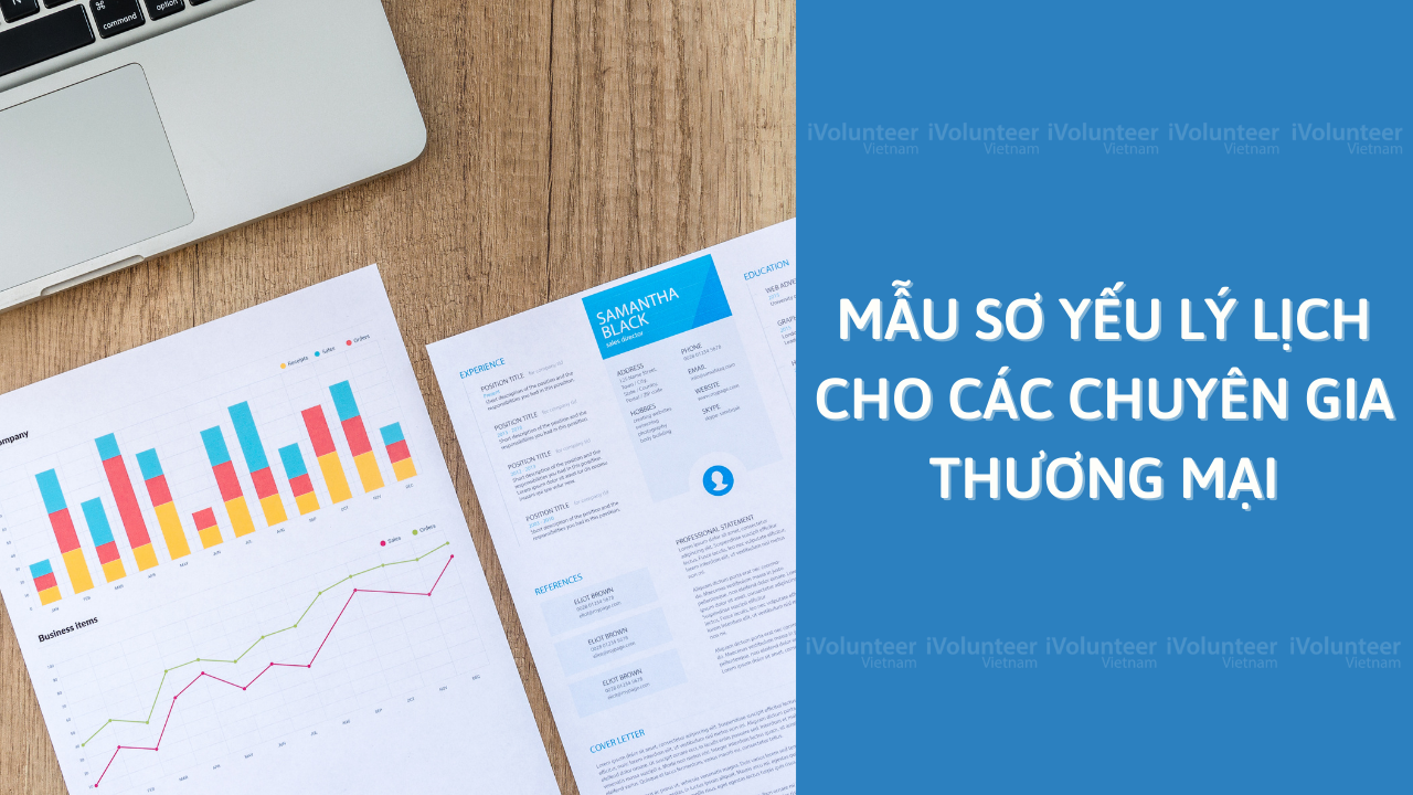 Mẫu Sơ Yếu Lý Lịch Cho Các Chuyên Gia Thương Mại