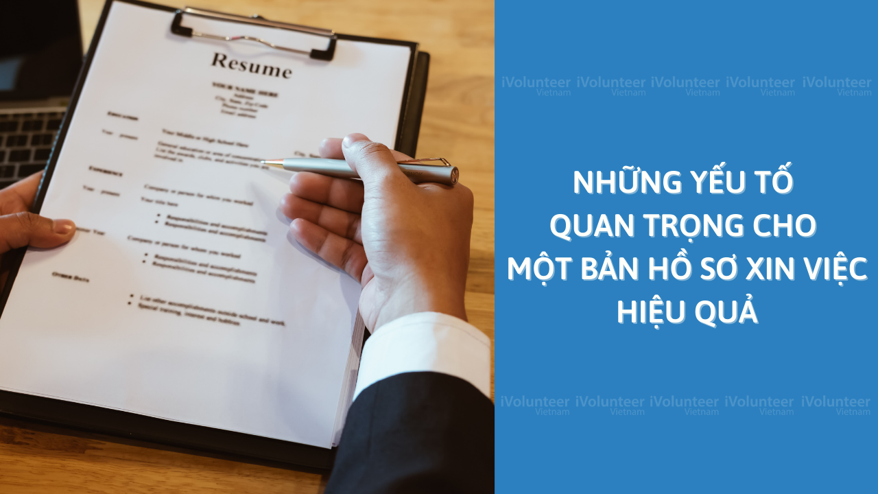 Những Yếu Tố Quan Trọng Cho Một Bản Hồ Sơ Xin Việc Hiệu Quả