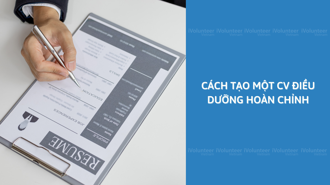 Cách Tạo Một CV Điều Dưỡng Hoàn Chỉnh