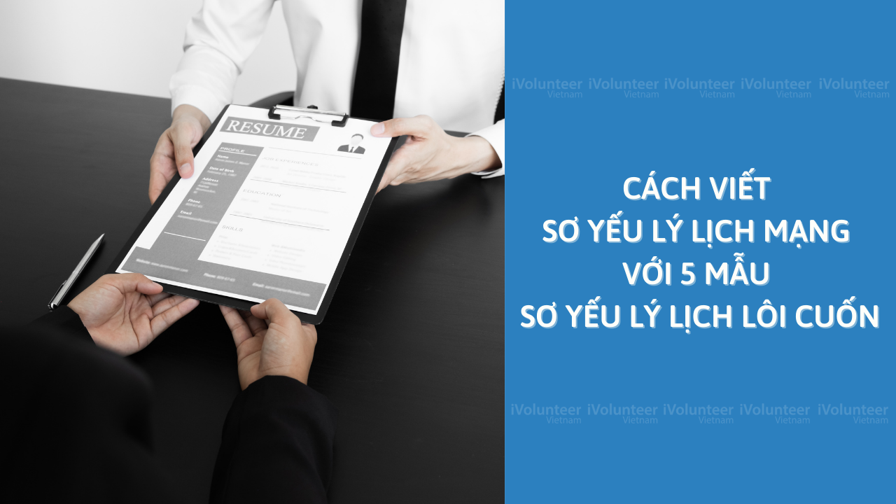 Cách Viết Sơ Yếu Lý Lịch Mạng Với 5 Mẫu Sơ Yếu Lý Lịch Lôi Cuốn