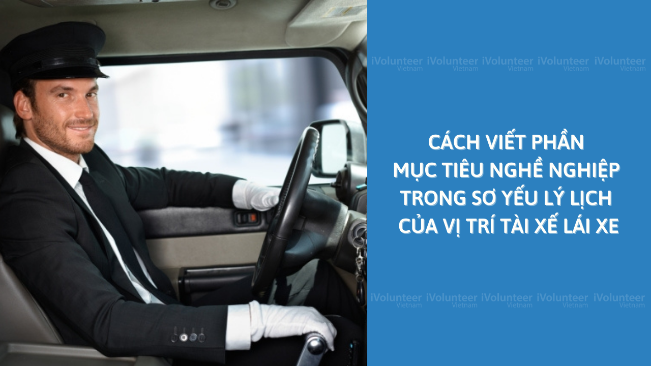 Cách Viết Phần Mục Tiêu Nghề Nghiệp Trong Sơ Yếu Lý Lịch Của Vị Trí Tài Xế Lái Xe