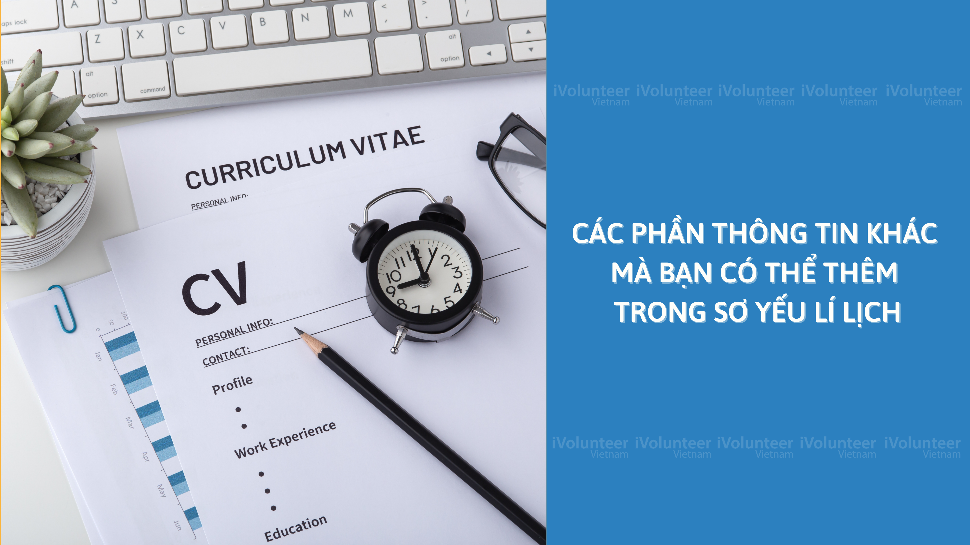 Các Phần Thông Tin Khác Mà Bạn Có Thể Thêm Trong Sơ Yếu Lí Lịch