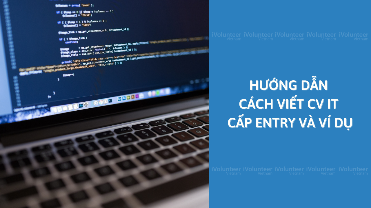 Hướng Dẫn Cách Viết CV IT Cấp Entry Và Ví Dụ