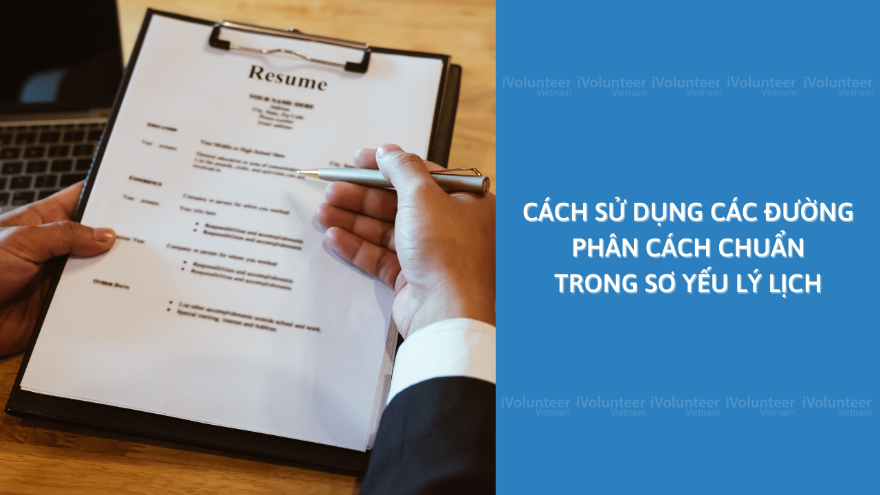 Cách Sử Dụng Các Đường Phân Cách Chuẩn Trong Sơ Yếu Lý Lịch