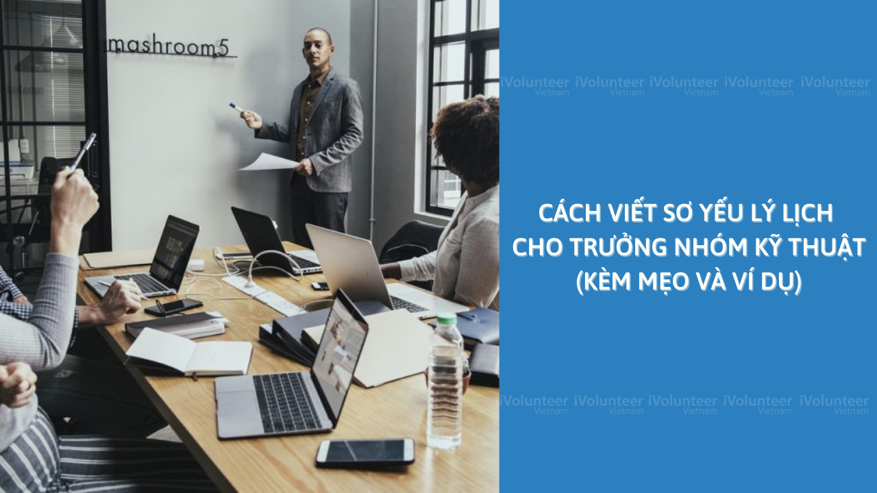 Cách Viết Sơ Yếu Lý Lịch Cho Trưởng Nhóm Kỹ Thuật (Kèm Mẹo Và Ví Dụ)