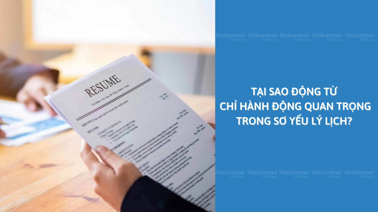 Tại Sao Động Từ Chỉ Hành Động Quan Trọng Trong Sơ Yếu Lý Lịch?