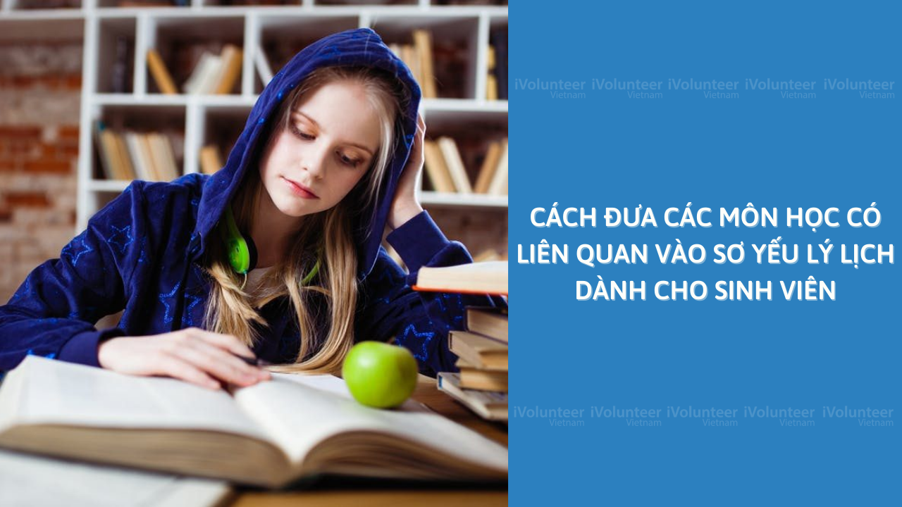 Cách Đưa Các Môn Học Có Liên Quan Vào Sơ Yếu Lý Lịch Dành Cho Sinh Viên