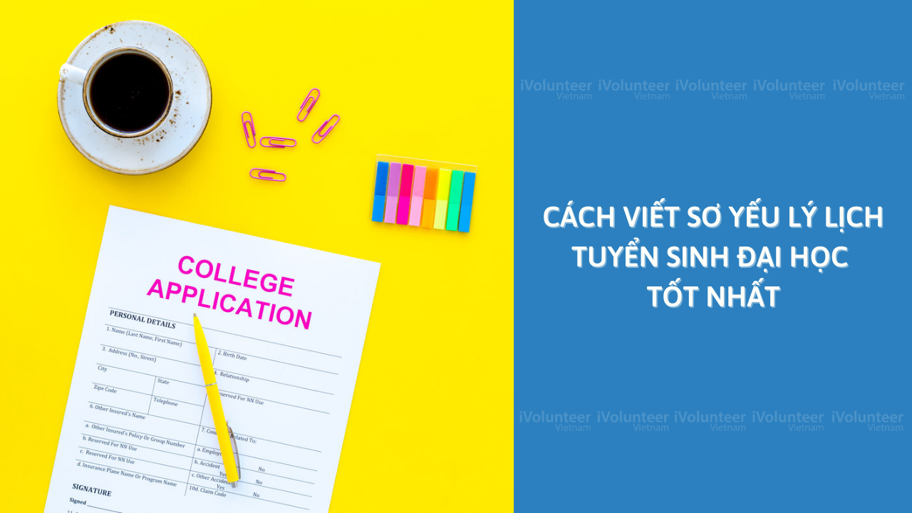 Cách Viết Sơ Yếu Lý Lịch Tuyển Sinh Đại Học Tốt Nhất