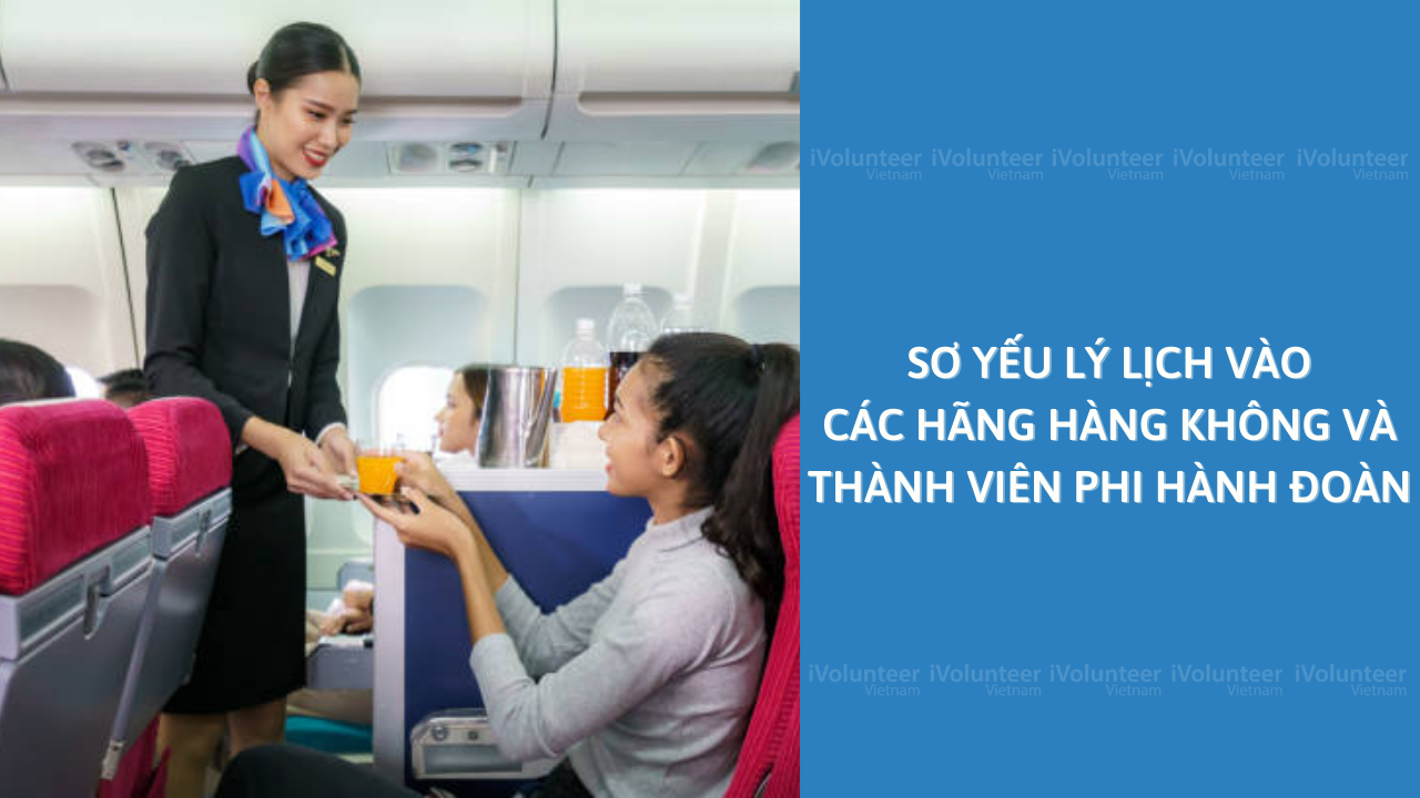 Sơ Yếu Lý Lịch Vào Các Hãng Hàng Không Và Thành Viên Phi Hành Đoàn