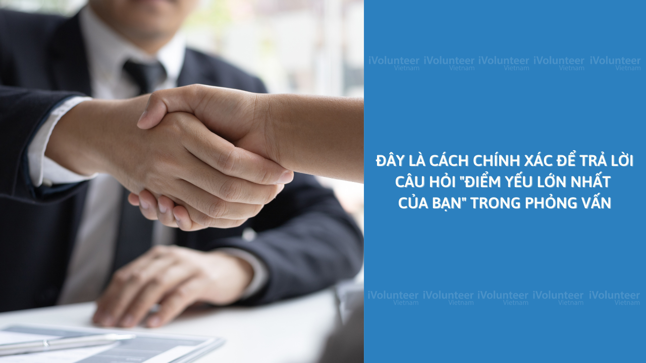 Đây Là Cách Chính Xác Để Trả Lời Câu Hỏi 