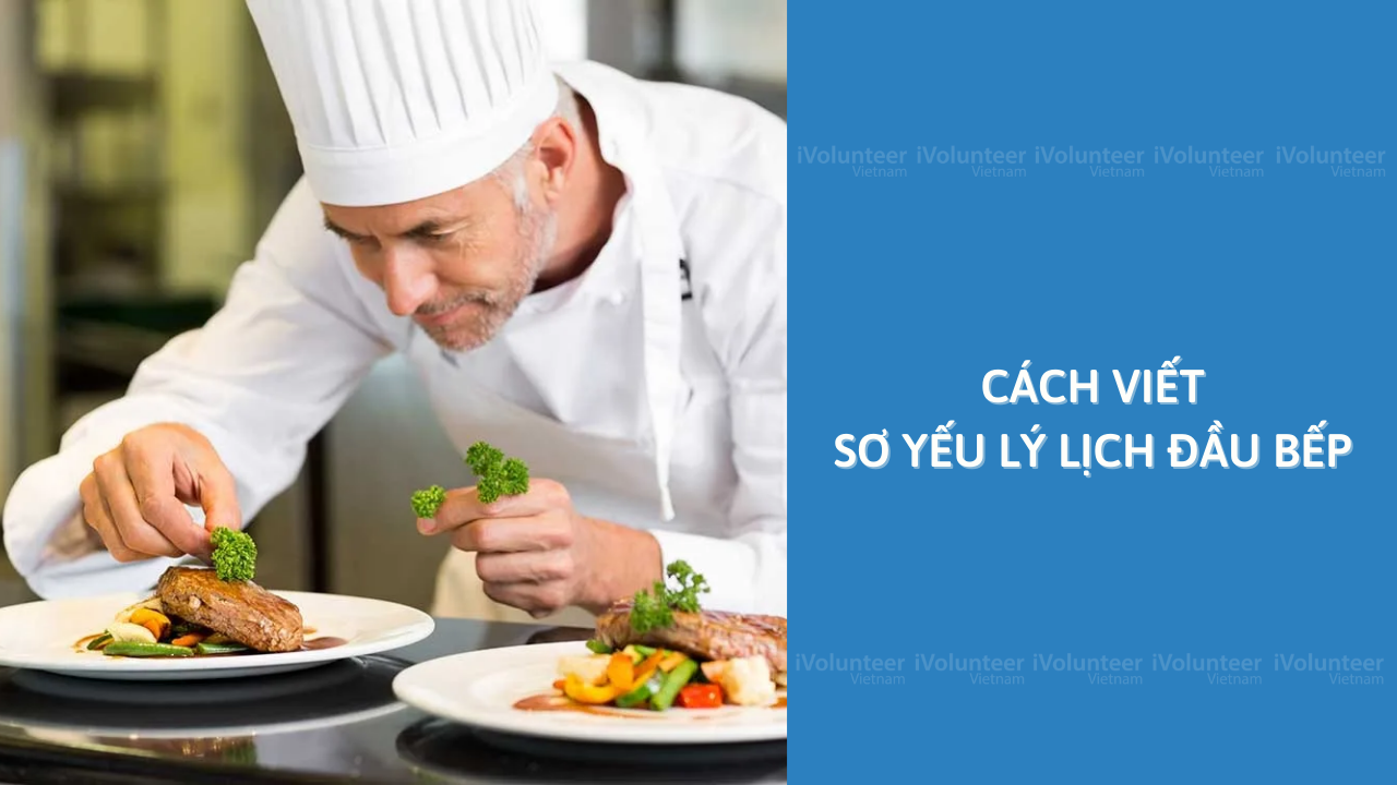 Cách Viết Sơ Yếu Lý Lịch Đầu Bếp