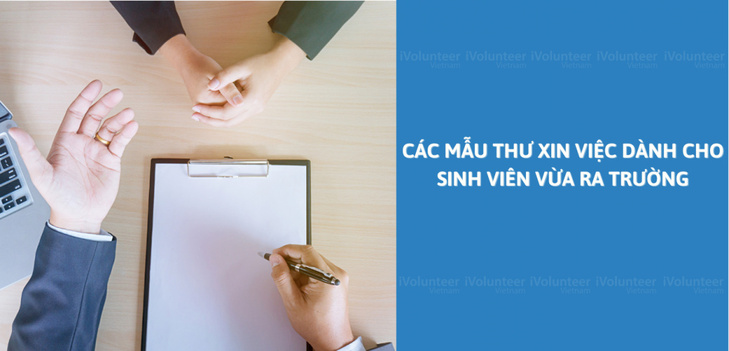 Các Mẫu Thư Xin Việc Dành Cho Sinh Viên Vừa Ra Trường