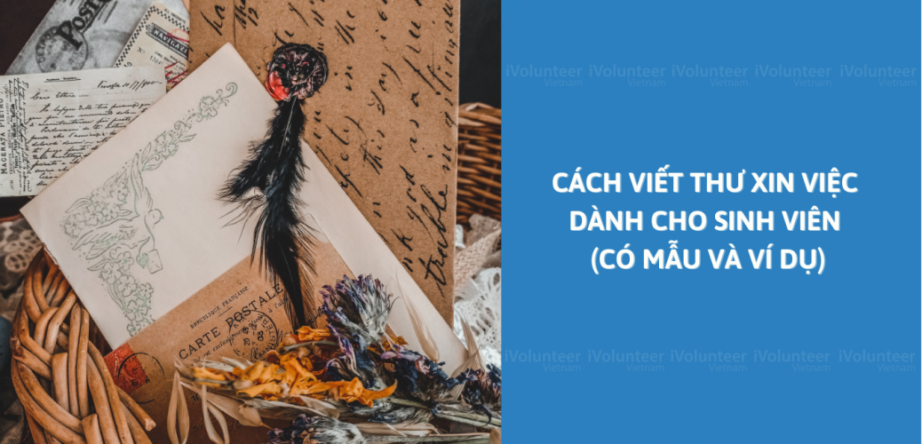 Cách Viết Thư Xin Việc Dành Cho Sinh Viên (Có Mẫu Và Ví Dụ)