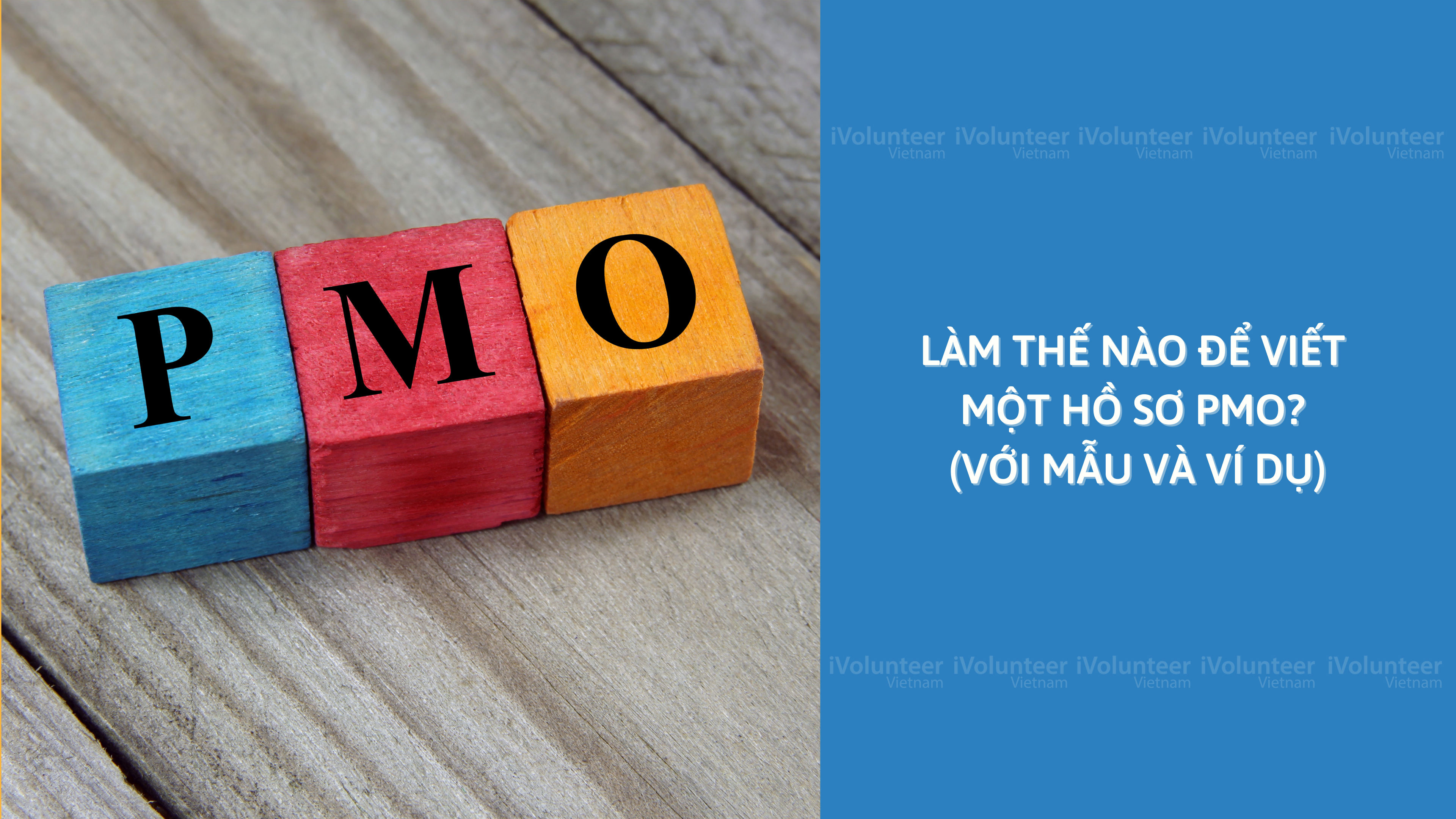 Làm Thế Nào Để Viết Một Hồ Sơ PMO? (Với Mẫu Và Ví Dụ)