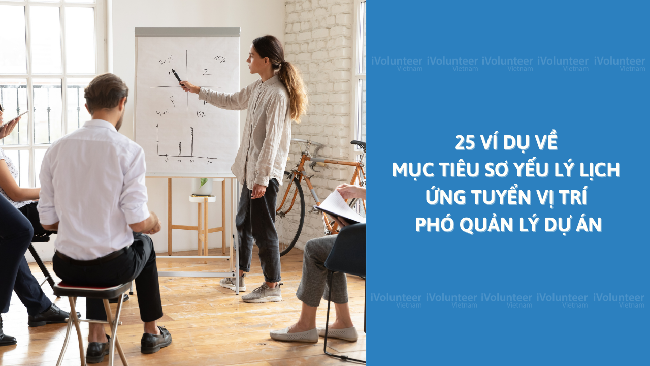 25 Ví Dụ Về Mục Tiêu Sơ Yếu Lý Lịch Ứng Tuyển Vị Trí Phó Quản Lý Dự Án