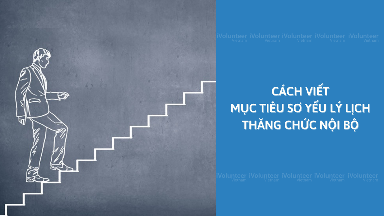 Cách Viết Mục Tiêu Sơ Yếu Lý Lịch Thăng Chức Nội Bộ