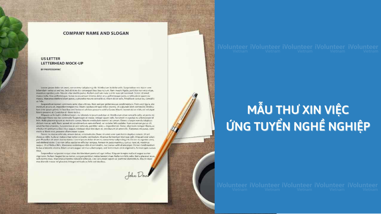 Mẫu Thư Xin Việc Ứng Tuyển Nghề Nghiệp